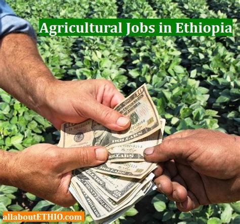 Let us know your <strong>job</strong> expectations, so we can find you <strong>jobs</strong> better! Email. . Ngo jobs in agriculture in ethiopia